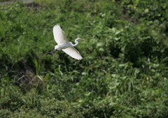 2.飛ぶ・・・②