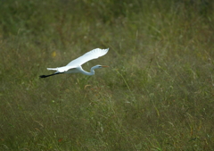 5.華麗なる瞬間・・・⑤
