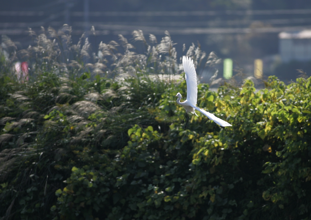 方向転換・・・