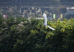 方向転換・・・