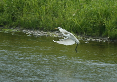 どこに降りるのかな？・・・