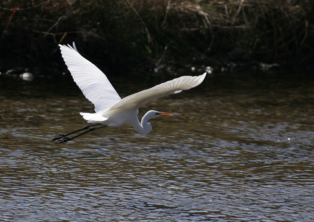 3.短距離飛行・・・③