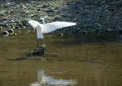 ダンシング・・・