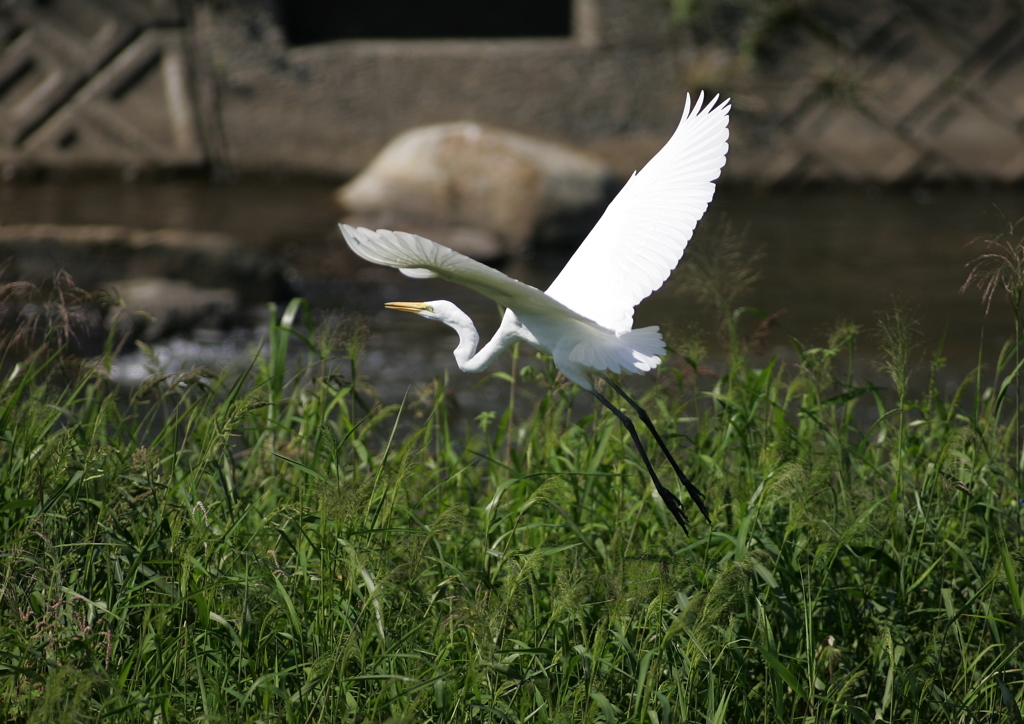 7.飛び立ちシーン⑥