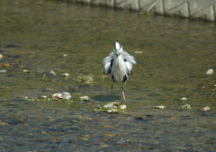 そんなに怒るなよぉ・・・