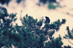 少し覗かせてね・・・