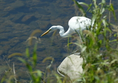 1.狙いを定める・・・