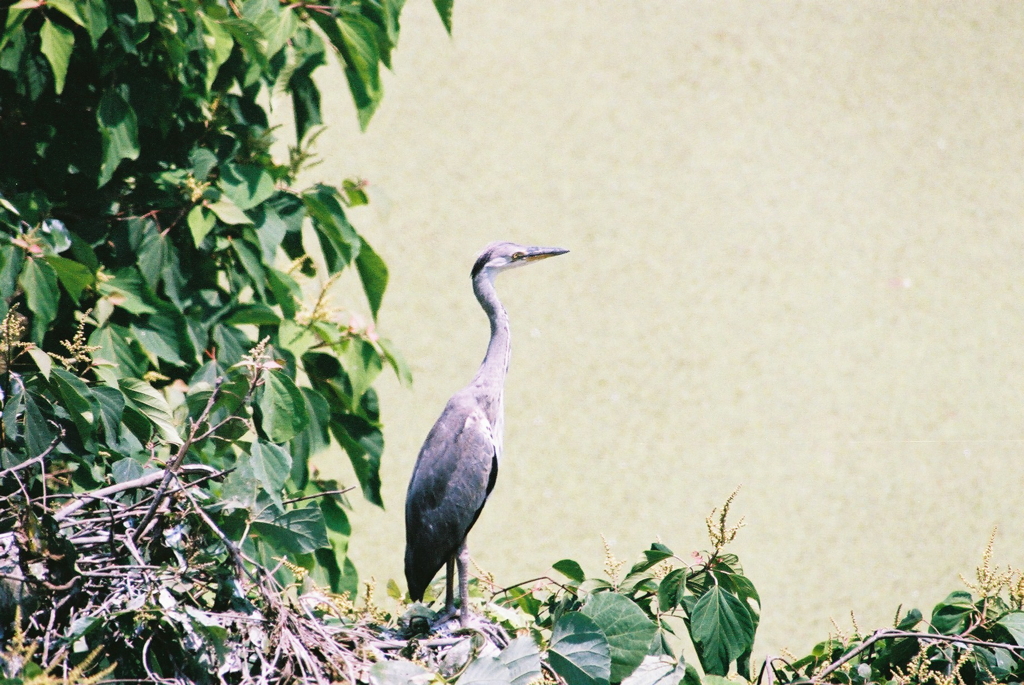 お母さん、まだかなぁ・・・