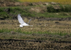 再び空中へ・・・④