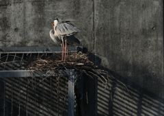 愛を語り合う・・・