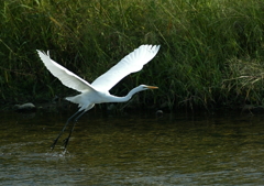 4.水面を蹴って・・・④