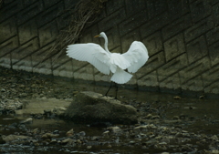 ステージ・・・