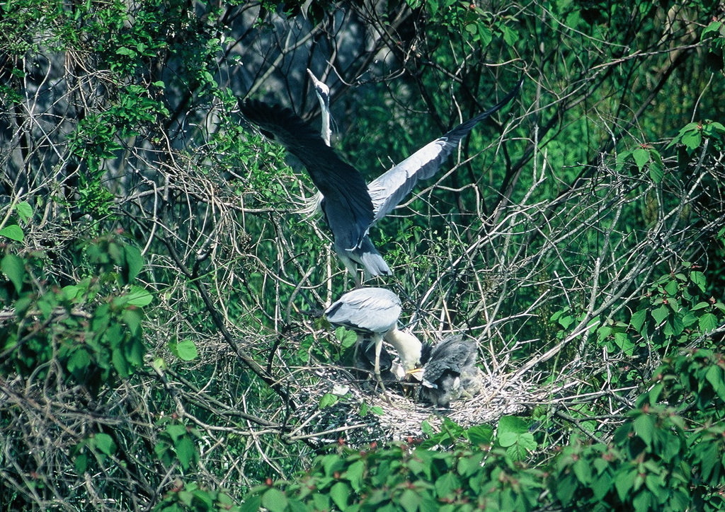 俺、ちょっと出掛けてくるね！