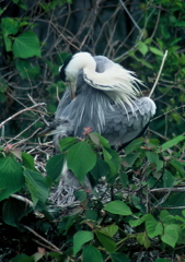 やすらぎ・・・