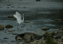 次は何処へ行くの？・・・