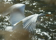 水辺の草陰で。②