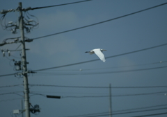 ぶつからないでね(^-^)