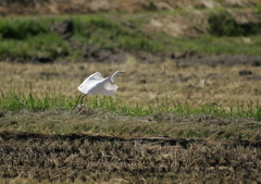 再び空中へ・・・③