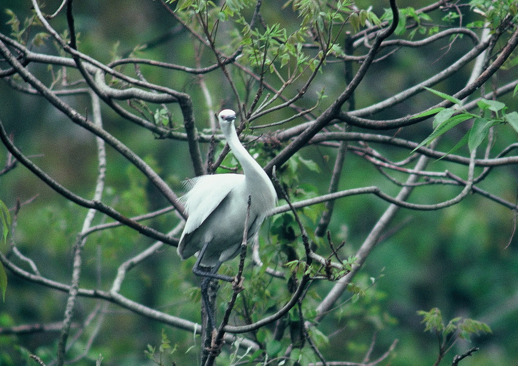 バランスとらなくっちゃ・・・