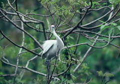 バランスとらなくっちゃ・・・