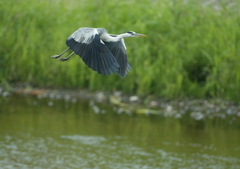 どこまで行くの？・・・