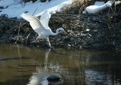 走り幅跳び？・・・