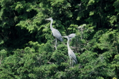 視線の彼方・・・