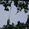 首、そんなに長かったんだね(^-^;