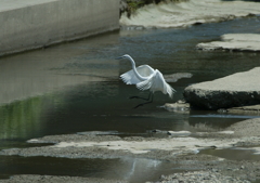 着陸態勢・・・