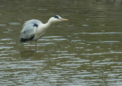 少しお太りになられました？