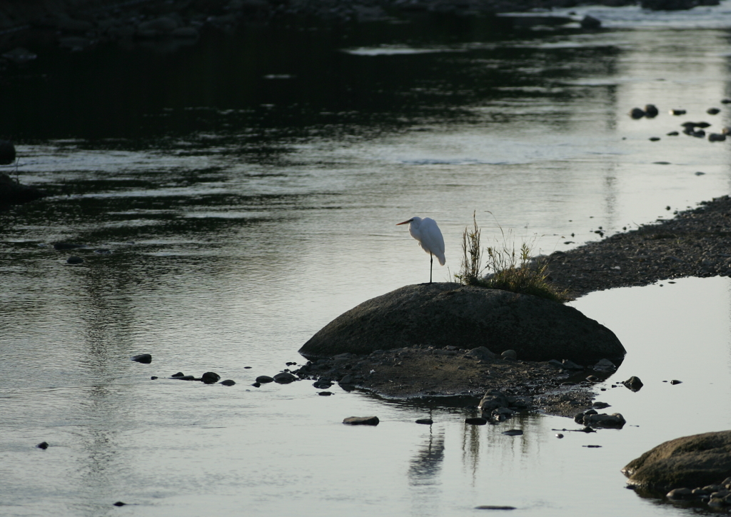佇んでるねぇ(^-^)