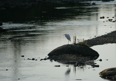 佇んでるねぇ(^-^)