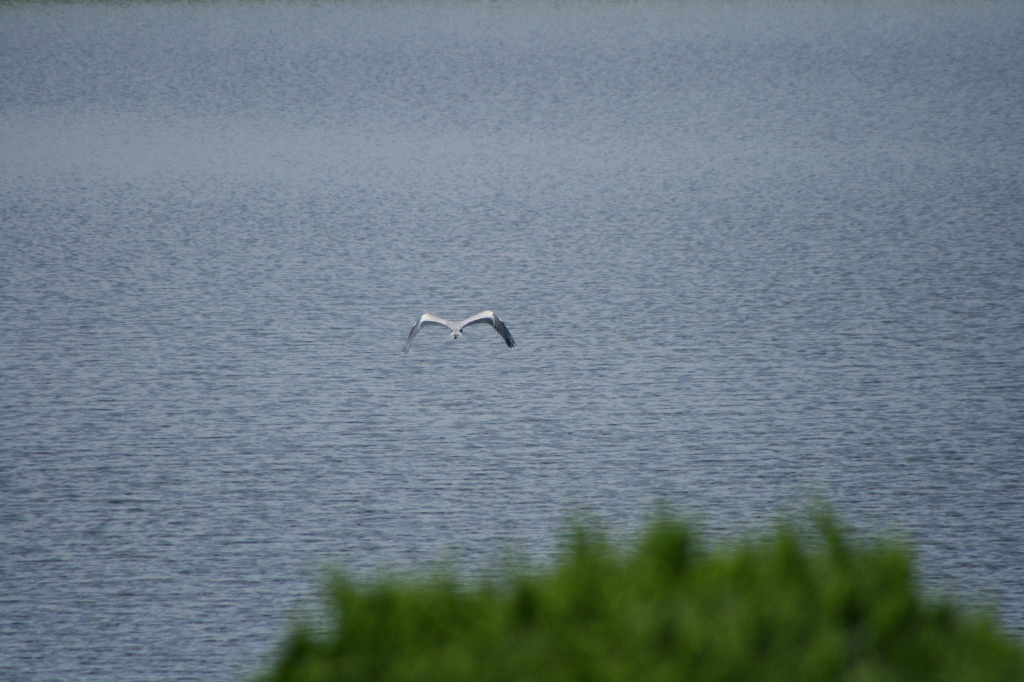 静寂な時間・・・