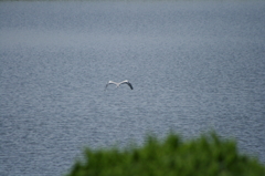 静寂な時間・・・