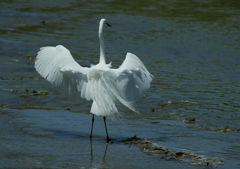 後姿・・・。②