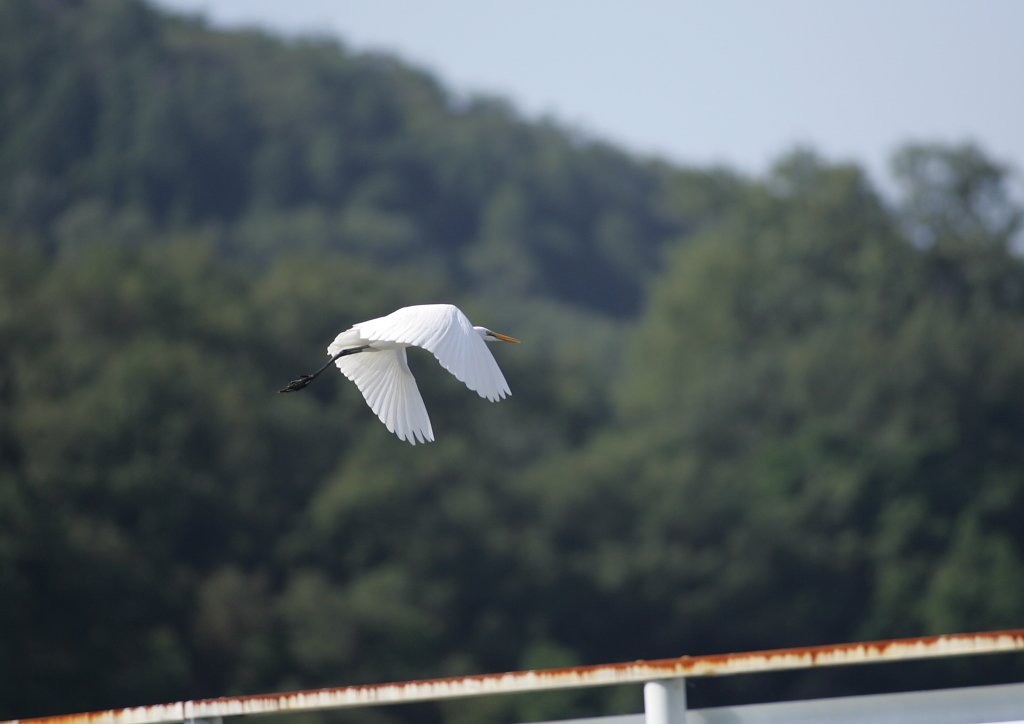7.人の気配！逃げなきゃ・・・⑥