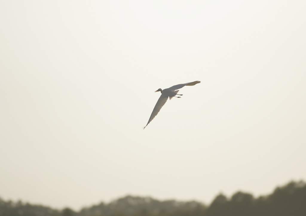 2.夕暮れ時・・・②