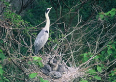 さぁ、今のうちに・・・。