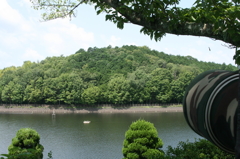 コロニー撮影風景