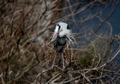 考える・・・？