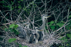 ちょっと心細いなぁ・・・。