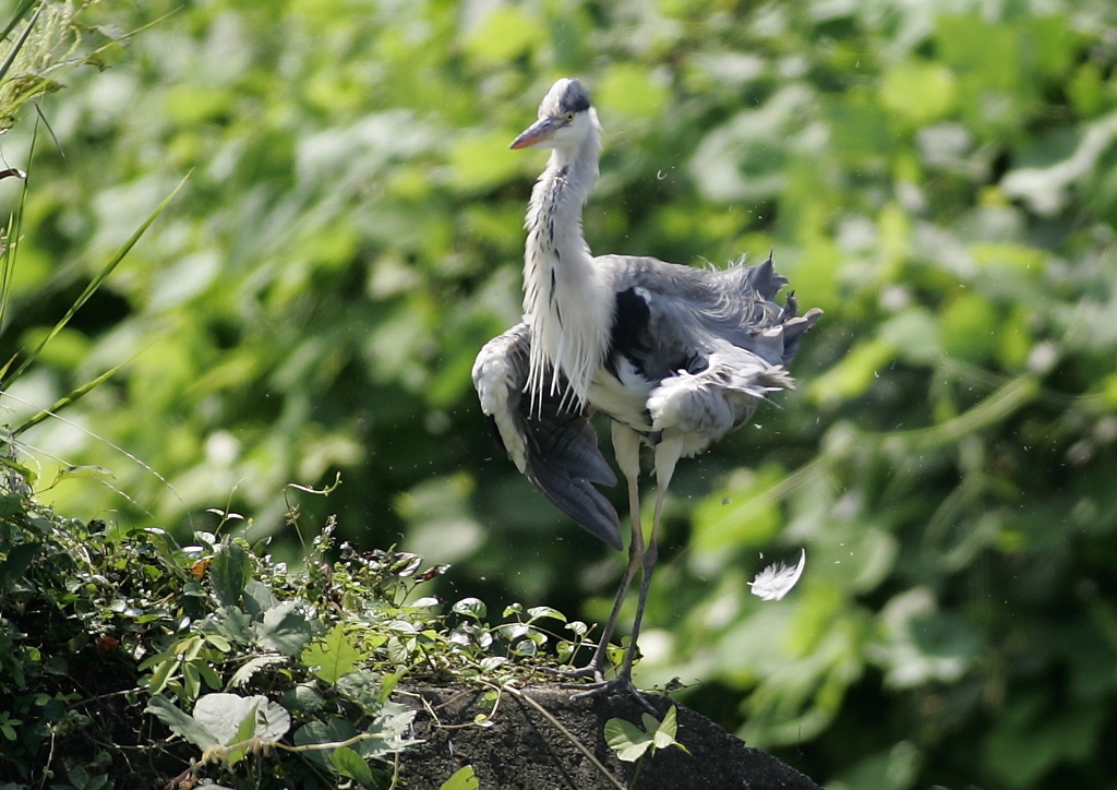 軽めのブルブル・・・