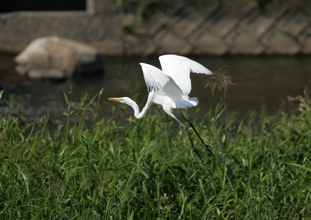 6.飛び立ちシーン⑤