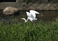 6.飛び立ちシーン⑤