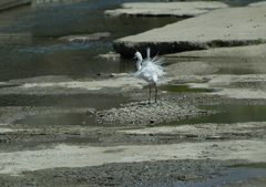 ブルブルッ・・・③