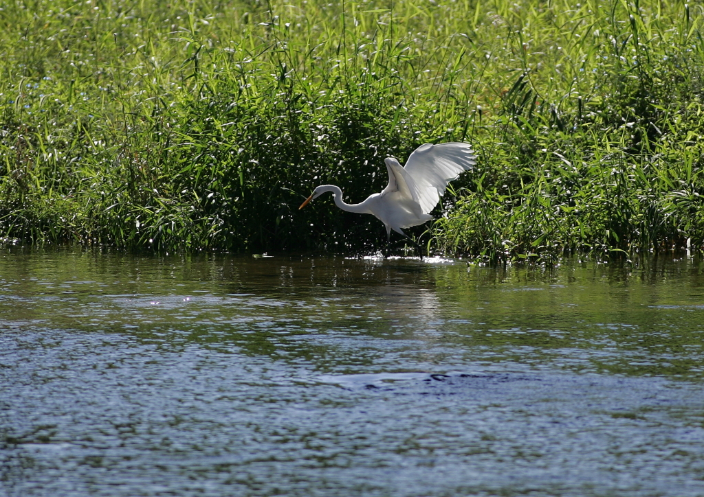 狩猟中・・・②