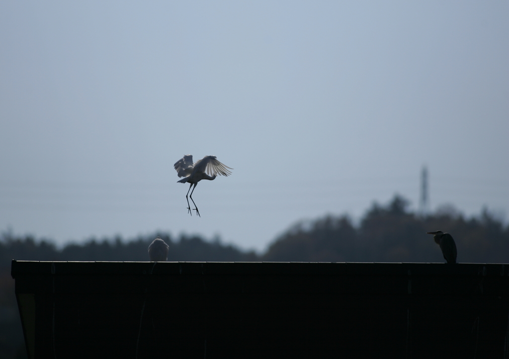 2.お気に入りの場所(^-^)②