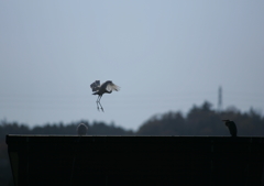 2.お気に入りの場所(^-^)②