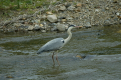 スタイリッシュ・・・