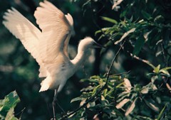 早く飛びたいな！